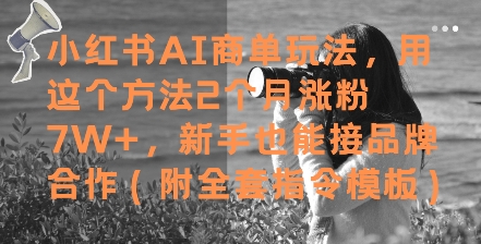小红书AI商单玩法，用这个方法2个月涨粉7W+，新手也能接品牌合作(附全套指令模板)-网赚项目平台