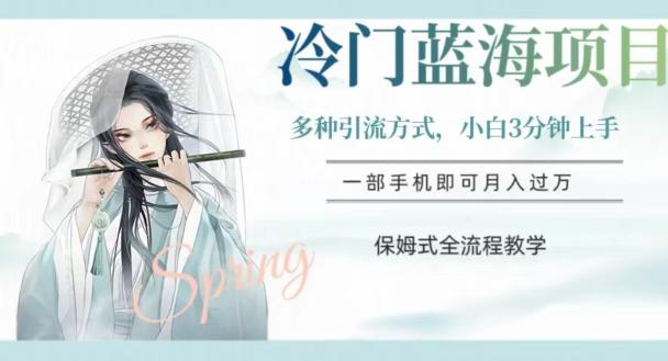 冷门蓝海项目，操作简单，小白3分钟上手，多种引流方式，保姆式全流程教学【揭秘】-网赚项目平台
