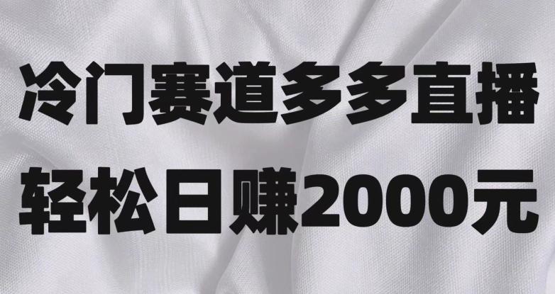 冷门赛道拼多多直播，简单念稿子，日收益2000＋【揭秘】-网赚项目平台