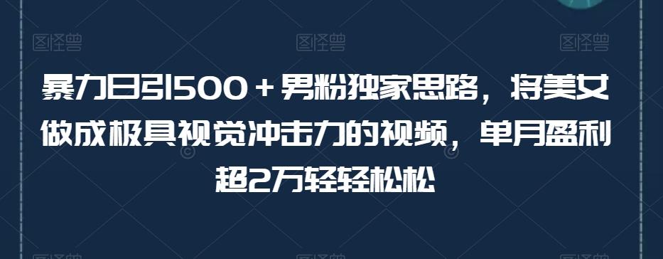 暴力日引500＋男粉独家思路，将美女做成极具视觉冲击力的视频，单月盈利超2万轻轻松松-网赚项目平台