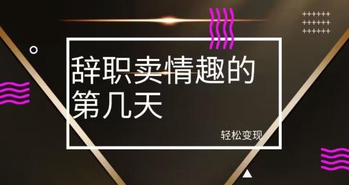冷门赛道，辞职卖情趣的第几天，超暴力项目-网赚项目平台