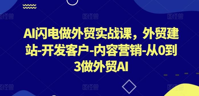 AI闪电做外贸实战课，​外贸建站-开发客户-内容营销-从0到3做外贸AI-网赚项目平台
