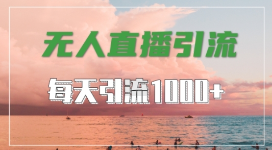抖音快手视频号全平台通用，无人直播引流法，超暴力引流1000+高质量精准创业粉【揭秘】-网赚项目平台