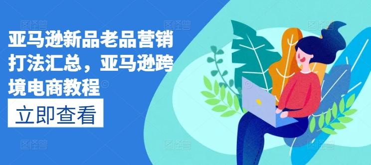 亚马逊新品老品营销打法汇总，亚马逊跨境电商教程-网赚项目平台