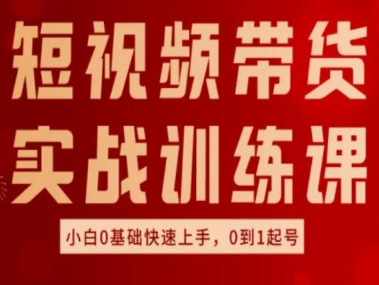 短视频带货实战训练课，好物分享实操，小白0基础快速上手，0到1起号-网赚项目平台