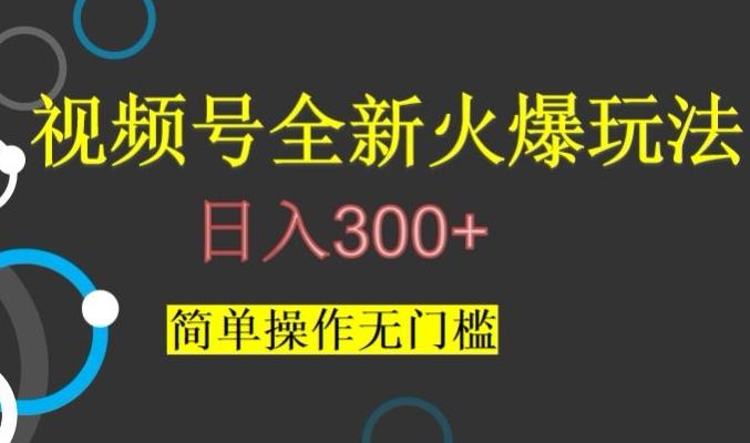 视频号最新爆火玩法，日入300+，简单操作无门槛【揭秘】-网赚项目平台