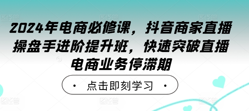 2024年电商必修课，抖音商家直播操盘手进阶提升班，快速突破直播电商业务停滞期-网赚项目平台