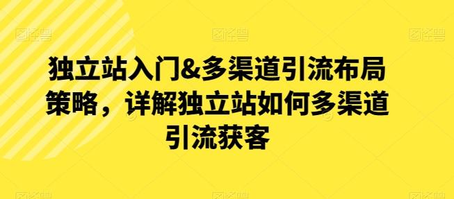 独立站入门&多渠道引流布局策略，详解独立站如何多渠道引流获客-网赚项目平台