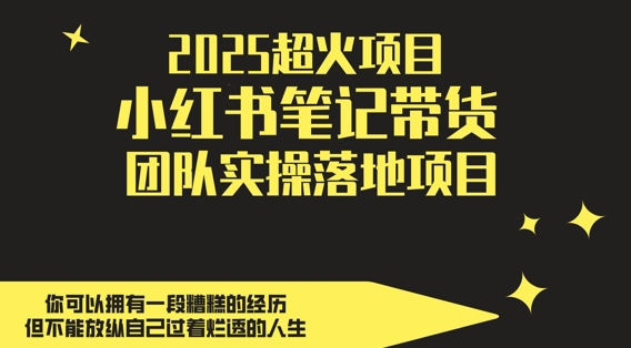 2025超火项目，副业最佳选择，小红书笔记带货团队实操落地项目，，轻松日入5张-网赚项目平台