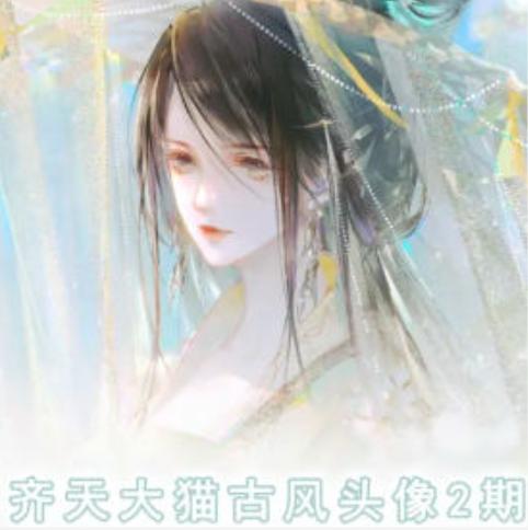 齐天大猫古风头像课第2期，帮助您提高您的绘画技能-网赚项目平台