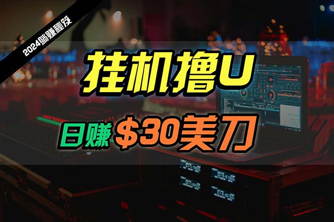 (10013期)日赚30美刀，2024最新海外挂机撸U内部项目，全程无人值守，可批量放大-网赚项目平台