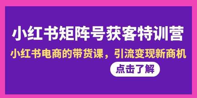 小红书矩阵号获客特训营-第10期，小红书电商的带货课，引流变现新商机-网赚项目平台