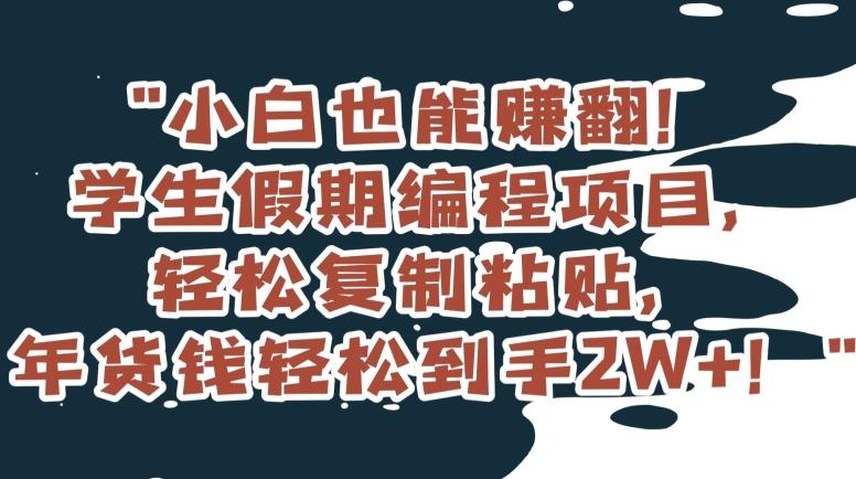 小白也能赚翻！学生假期编程项目，轻松复制粘贴，年货钱轻松到手2W+【揭秘】-网赚项目平台