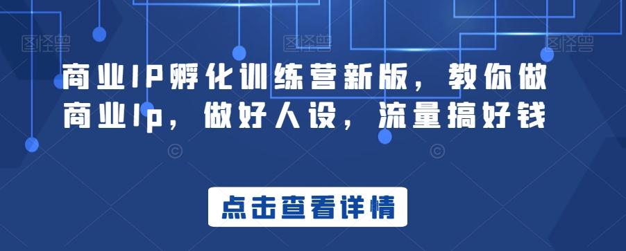 商业IP孵化训练营新版，教你做商业Ip，做好人设，流量搞好钱-网赚项目平台