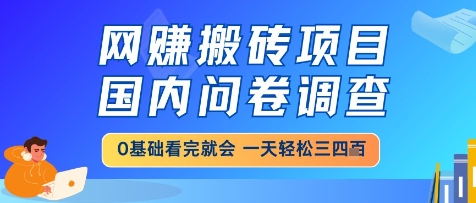 网创搬砖项目，国内问卷调查，小白轻松上手，一天三四张的也不难，干就完了【揭秘】-网赚项目平台