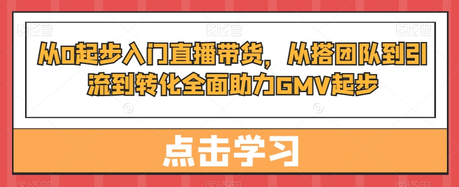 从0起步入门直播带货，​从搭团队到引流到转化全面助力GMV起步-网赚项目平台