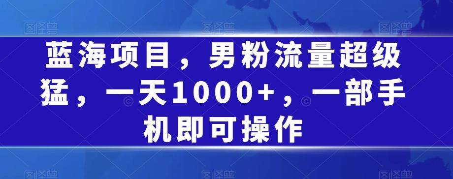 蓝海项目，男粉流量超级猛，一天1000+，一部手机即可操作【揭秘】-网赚项目平台