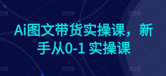 Ai图文带货实操课，新手从0-1 实操课-网赚项目平台