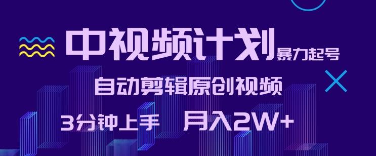 中视频计划暴力起号，自动剪辑原创视频，3分钟上手，月入2W+【揭秘】-网赚项目平台