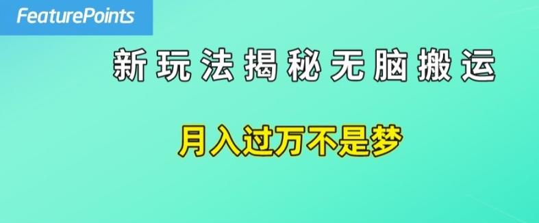 简单操作，每天50美元收入，搬运就是赚钱的秘诀【揭秘】-网赚项目平台