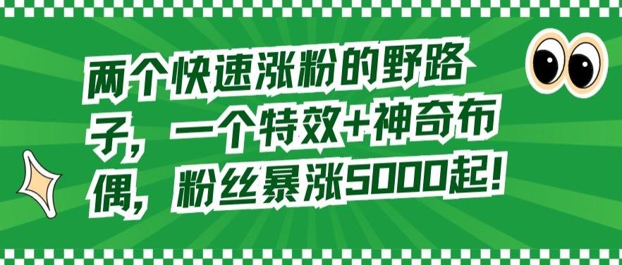 两个快速涨粉的野路子，一个特效+神奇布偶，粉丝暴涨5000起【揭秘】-网赚项目平台