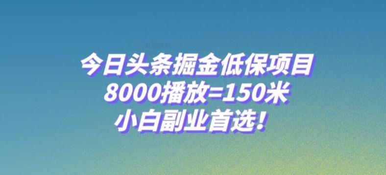今日头条掘金低保项目，8000播放=150米，小白副业首选【揭秘】-网赚项目平台
