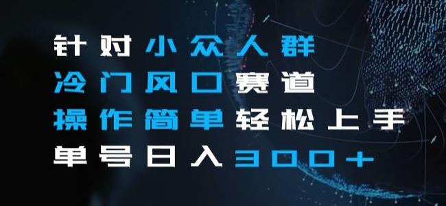 针对小众人群冷门风口赛道，操作简单轻松上手单号日入300+-网赚项目平台