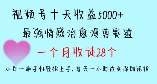十天收益5000+，多平台捞金，视频号情感治愈漫剪，一个月收徒28个，小白一部手机轻松上手【揭秘】-网赚项目平台