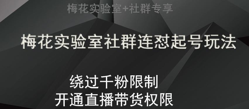 梅花实验室社群连怼起号玩法，视频号绕过千粉限制，开通直播带货权限【揭秘】-网赚项目平台