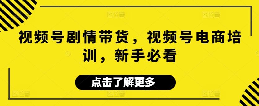 视频号剧情带货，视频号电商培训，新手必看-网赚项目平台