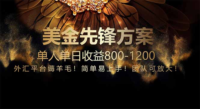 免费技术！小众赛道！一年布局抵三年努力，每日800+-网赚项目平台
