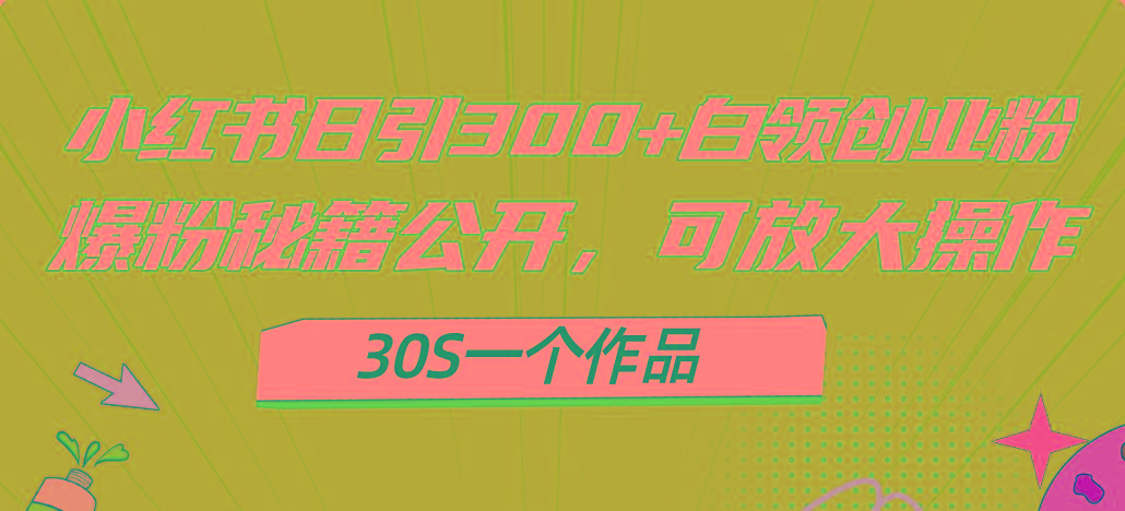 小红书日引300+高质白领创业粉，可放大操作，爆粉秘籍！30s一个作品-网赚项目平台