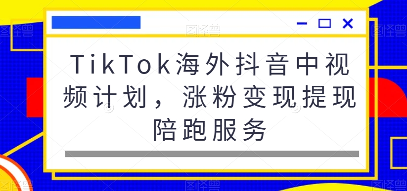 TikTok海外抖音中视频计划，涨粉变现提现陪跑服务-网赚项目平台