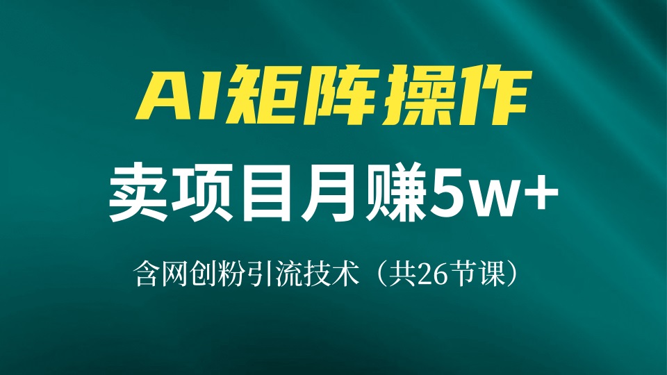 网创IP打造课，借助AI卖项目月赚5万+，含引流技术(共26节课-网赚项目平台