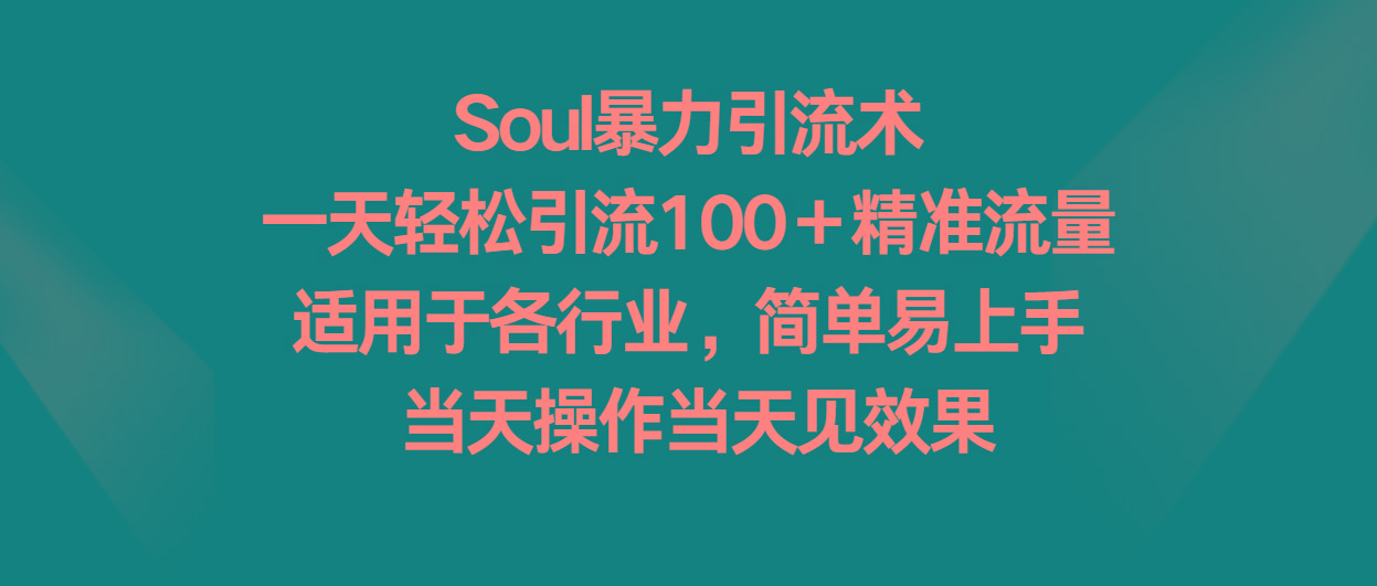 Soul暴力引流术，一天轻松引流100＋精准流量，适用于各行业，简单易上手！-网赚项目平台
