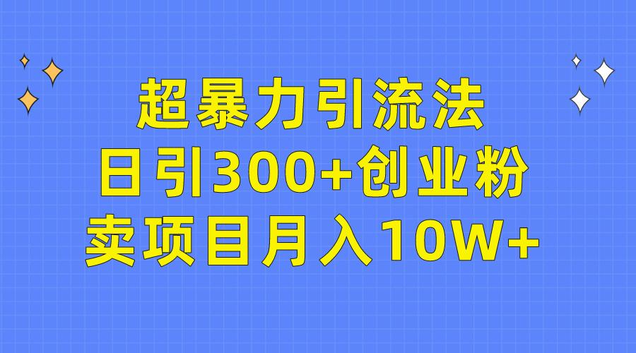 (9954期)超暴力引流法，日引300+创业粉，卖项目月入10W+-网赚项目平台