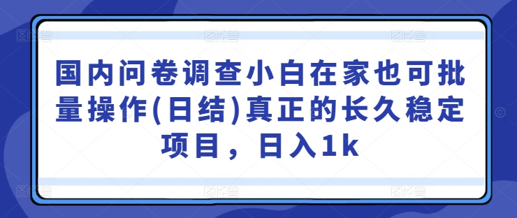 国内问卷调查小白在家也可批量操作(日结)真正的长久稳定项目，日入1k【揭秘】-网赚项目平台