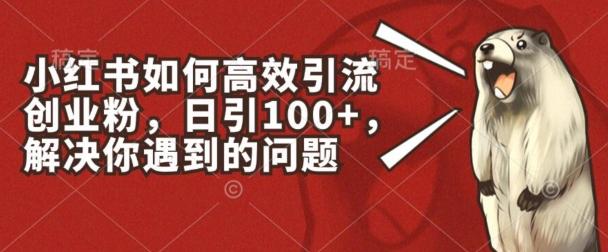 小红书如何高效引流创业粉，日引100+，解决你遇到的问题【揭秘】-网赚项目平台