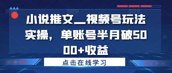 小说推文—视频号玩法实操，单账号半月破5000+收益-网赚项目平台