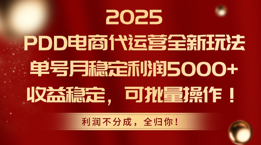 2025PDD电商代运营全新玩法，单号月稳定利润5000+，收益稳定，可批量操作-网赚项目平台