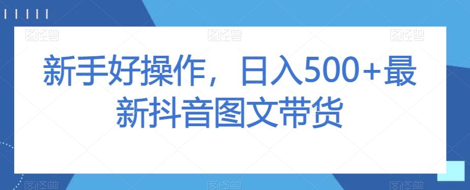 新手好操作，日入500+最新抖音图文带货【揭秘】-网赚项目平台