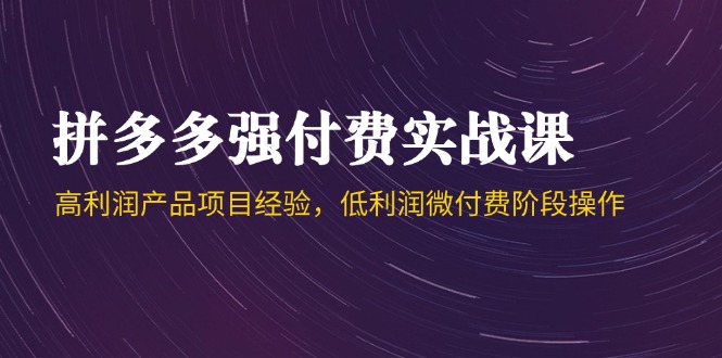 拼多多强付费实战课-44期，高利润产品项目经验，低利润微付费阶段操作-网赚项目平台