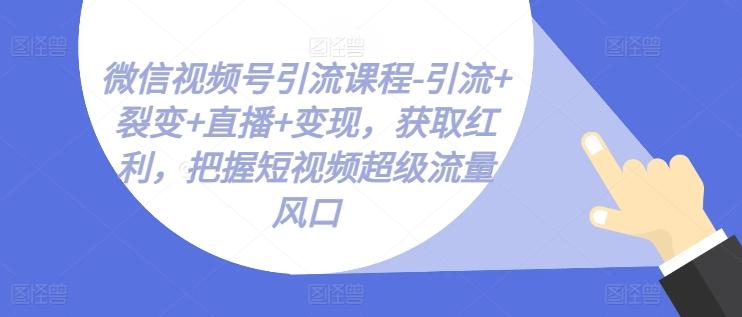 微信视频号引流课程-引流+裂变+直播+变现，获取红利，把握短视频超级流量风口-网赚项目平台
