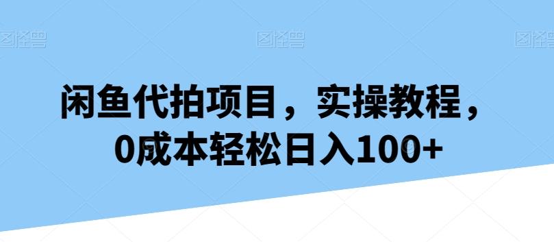 闲鱼代拍项目，实操教程，0成本轻松日入100+-网赚项目平台