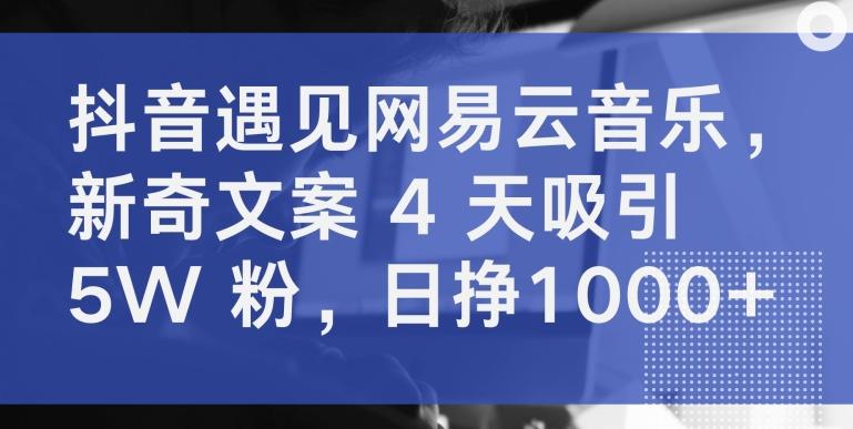 抖音遇见网易云音乐，新奇文案 4 天吸引 5W 粉，日挣1000+【揭秘】-网赚项目平台