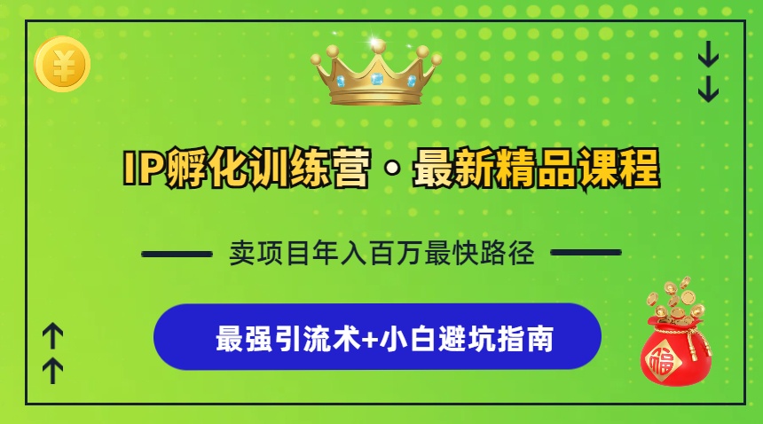 IP孵化训练营，知识付费全流程+最强引流术+小白避坑指南-网赚项目平台