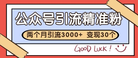 公众号精准粉引流玩法，2个月3000+精准粉，变现30个W【揭秘】-网赚项目平台