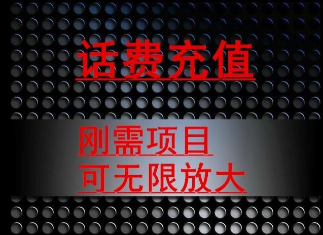 最新蓝海项目，刚需赛道，95折充话费月入5位数-网赚项目平台