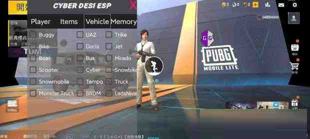 PUBG轻量老外裸奔绘制+自瞄 支持ROOT和框架 里面有全局离线-网赚项目平台