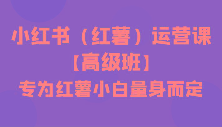 小红书(红薯)运营课【高级班】，专为红薯小白量身而定(42节课)-网赚项目平台